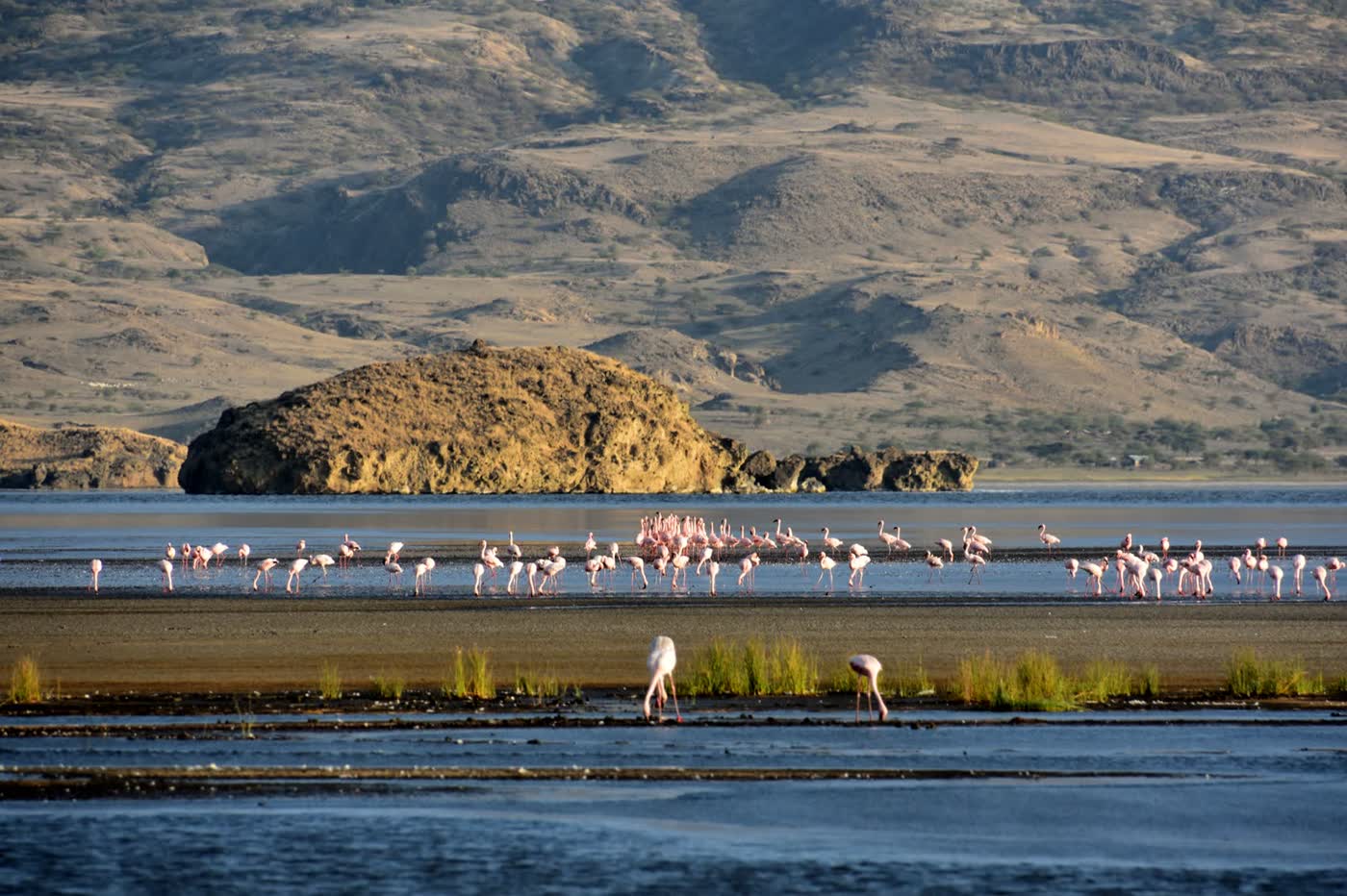 Lake Natron's red alkaline waters below the Rift Valley escarpment
