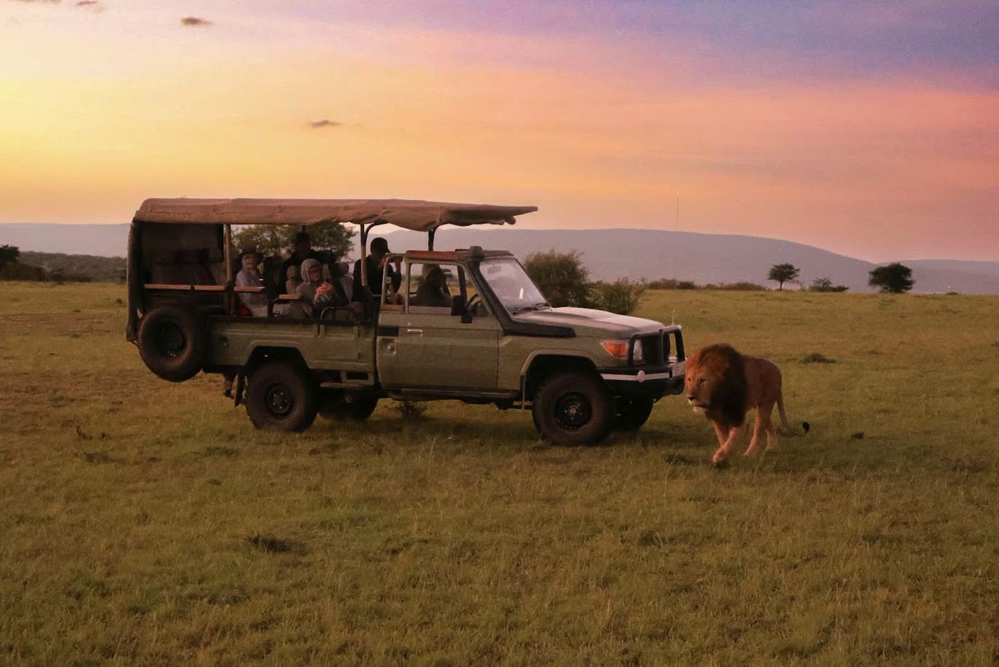 Nyerere National Park safari vehicle and lion, Tanzania