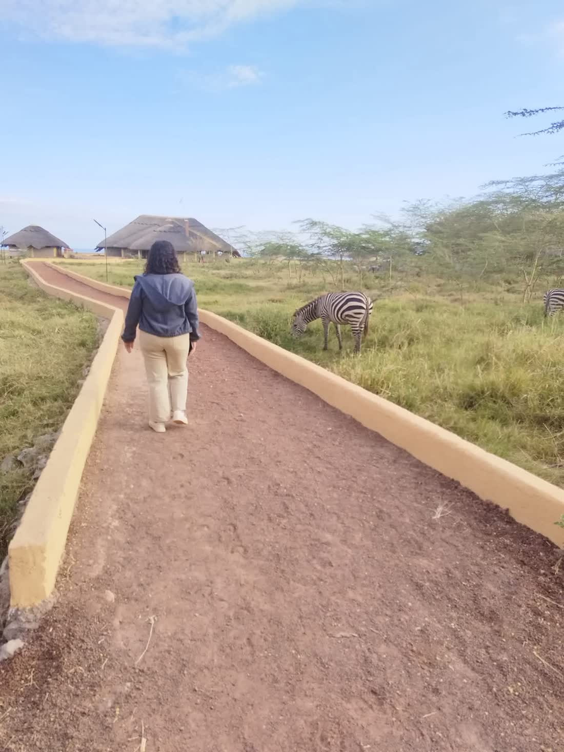 Scenic path at a luxury Tanzania safari lodge