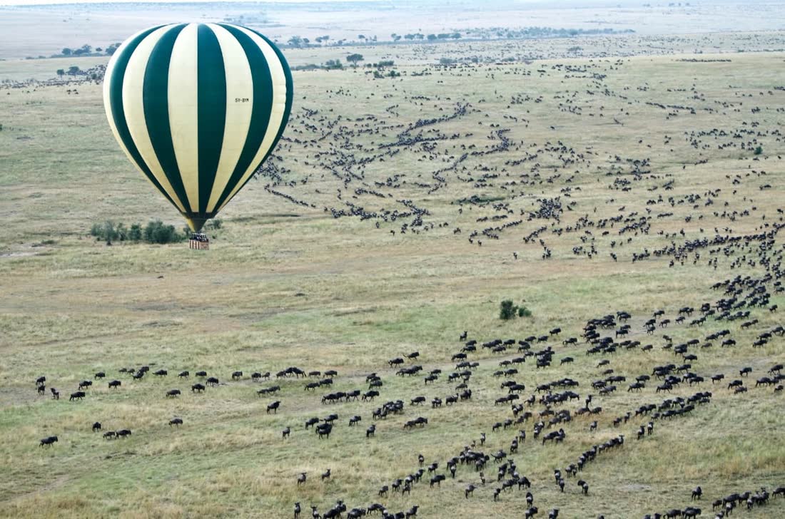 Hot air balloon safari over the Serengeti migration