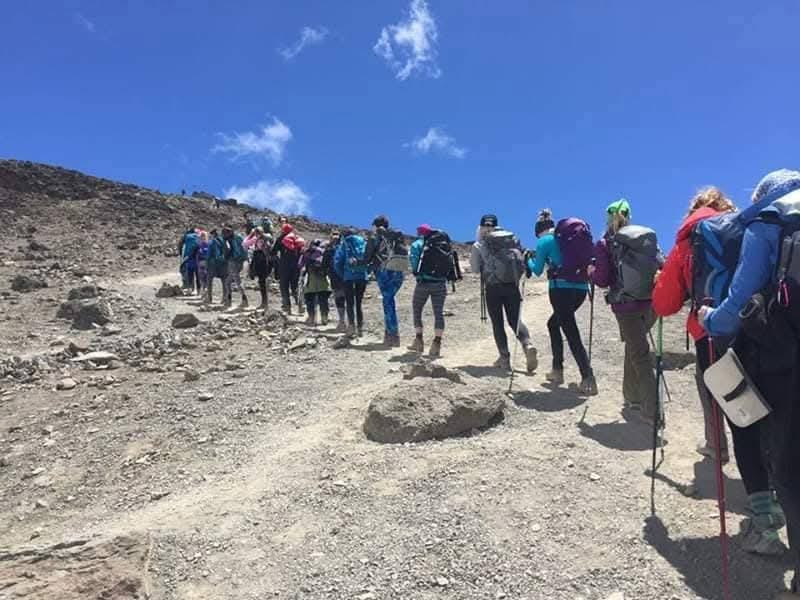 Trekkers hiking the trail on the Machame Route